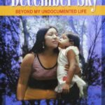 December Sky - Beyond My Undocumented Life